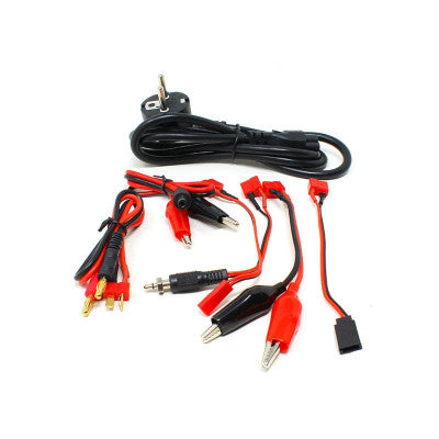 An Common Sense RC Ac/Dc 6 Lipo Battery Balance Charger