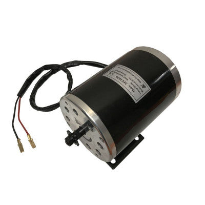 An MY1020 48V 1000W Electric Go-kart Brushed DC Motor with Foot