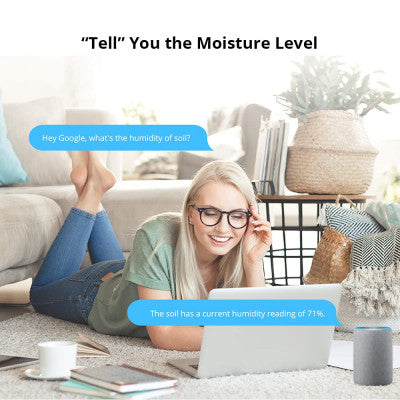An SONOFF MS01 Smart soil moisture sensor (RJ9 4P4C connector)