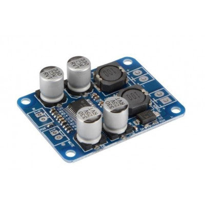 An TPA3118 PBTL Mono Digital Amplifier Board 1X60W 12V 24V Power Amplifier Module