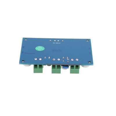An XH-M542 Single Channel High Power Digital Audio Power Amplifier Board TPA3116D2