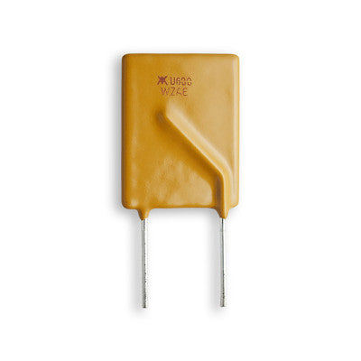 An image of RUEF Series PPTC Resettable Fuse