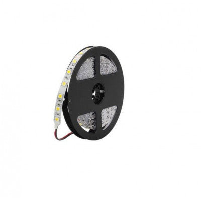 An 12V Cold White 5050 SMD LED Strip - 5Meter