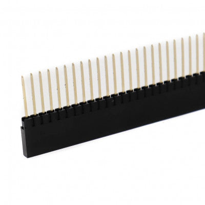 An 1x40 Pin 2.54mm Pitch Straight Long Female Berg Strip Connector