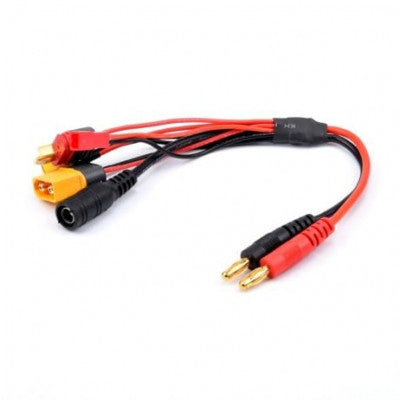An 20cm 14AWG 4.0mm Banana Plug to XT60, XT30, DC5.5,JST & T Plug Charger Adapter Cable