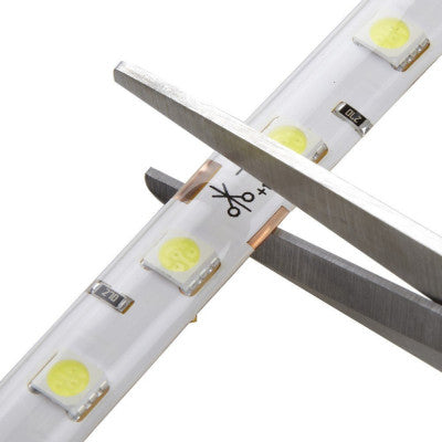An 24V Cold White 5050 SMD LED Strip - 1Meter