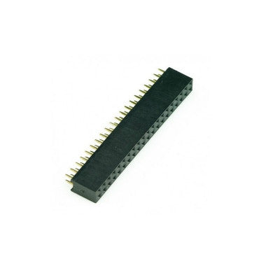 An 2x20 Pin 2.54mm Pitch Female Double Row Header Berg Strip