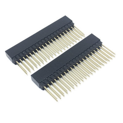 An 2x20 Pin 2.54mm Pitch Female Double Row Straight Long Header Berg Strip