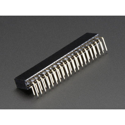 An 2x20 Pin 2.54mm Pitch (Right Angle) Female Header Berg Strip