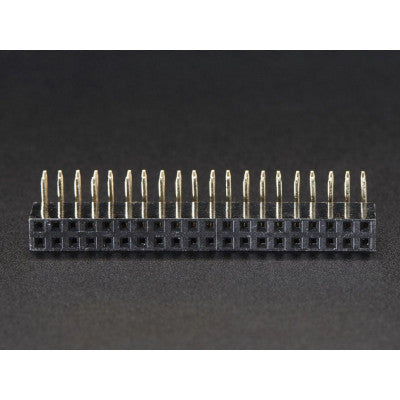 An 2x20 Pin 2.54mm Pitch (Right Angle) Female Header Berg Strip