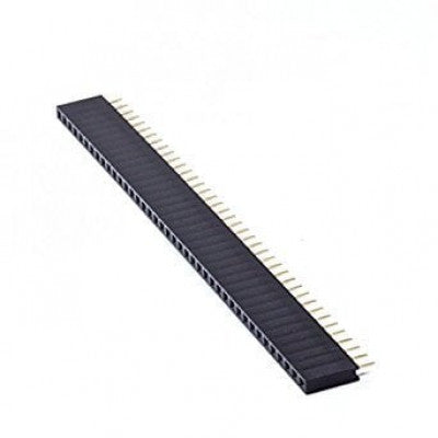 An 1x40 Pin 2mm Pitch Female Berg Strip - Straight