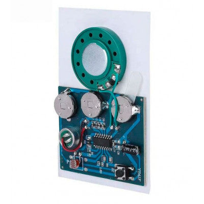 An 30S Sound Voice Music Recorder Board Photosensitive Wired Double button control Programmable Chip Audio Module For Greeting Card DIY