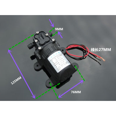 An 550 Diaphragm Pump 12V Water Pump for Water Spray Fish Tank Reflux Pump