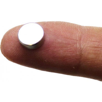 An 8mm x 1.5mm (8x1.5 mm) Neodymium Disc Strong Magnet