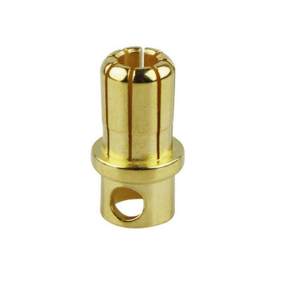 An 8mm Gold Plated Bullet Connector Male