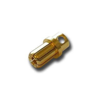 An 8mm Gold Plated Bullet Connector Male