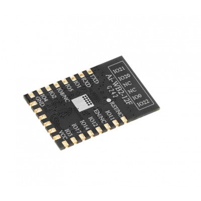 An Ai Thinker Ai-WB2-12F WiFi + BLE Module