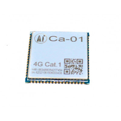 An Ai Thinker Ca-01 LTE Cat.1 GSM/GPRS Module