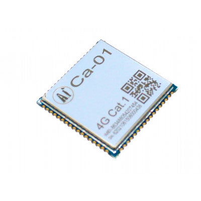 An Ai Thinker Ca-01 LTE Cat.1 GSM/GPRS Module
