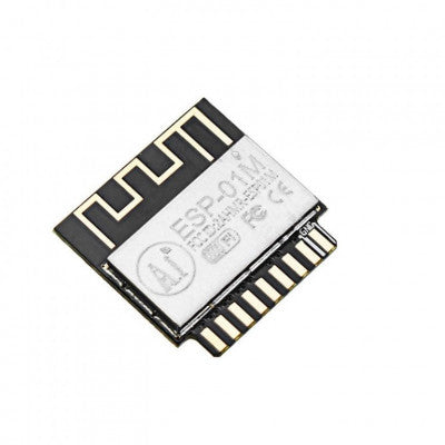 An Ai Thinker ESP-01M WiFi Module