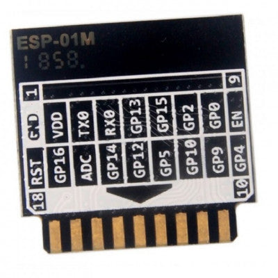 An Ai Thinker ESP-01M WiFi Module