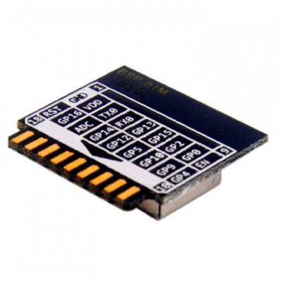 An Ai Thinker ESP-01M WiFi Module