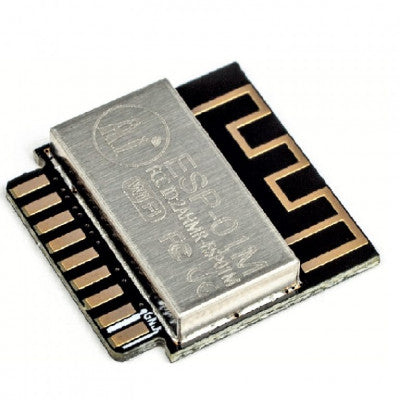 An Ai Thinker ESP-01M WiFi Module