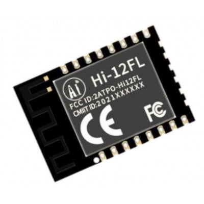 An Ai Thinker Hi-12FL WiFi Module