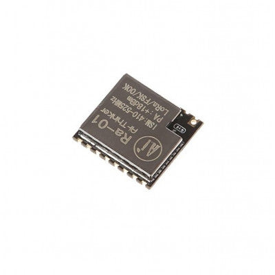 An Ai Thinker LoRa-Ra-01 RF Transceiver Module