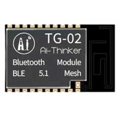 An Ai Thinker TG-02M Wi-Fi + BLE SoC module