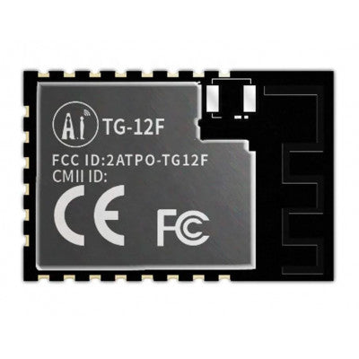 An Ai Thinker TG-12F Wi-Fi + BLE SoC module