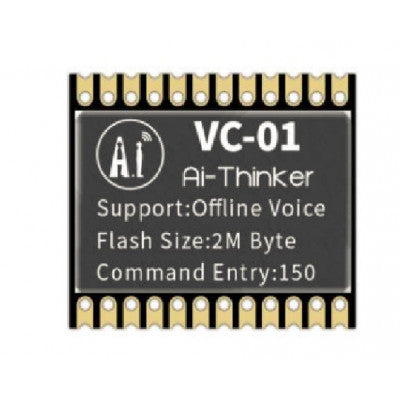 An Ai Thinker VC-01 module