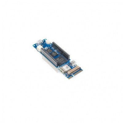 An Arduino MKR Vidor 4000