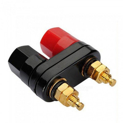 An Banana plugs Couple Terminals Red Black Connector Amplifier Terminal