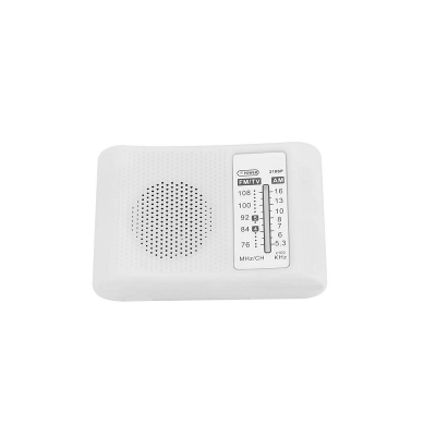 An CF210SP DIY Electronic Assembly Kit for AM-FM Stereo Radio