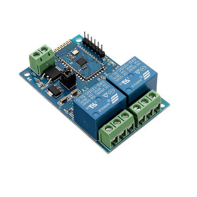 An DC 12V 2 Channel Bluetooth Wireless Control Relay Module