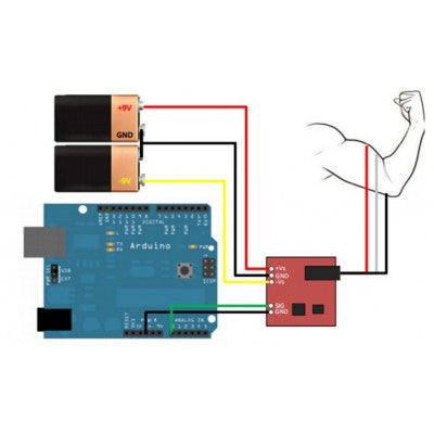 An EMG Muscle Sensor Module V3.0 with Cable And Electrodes