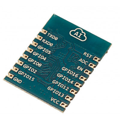 An ESP 8266 ESP-07 WIFI Module