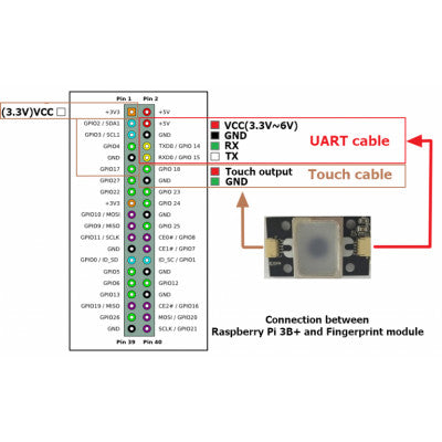 An GT521F32 Optical Fingerprint Scanner Module with JST SH Connector