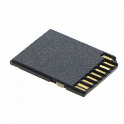 An Micro SD Card to SD Card Adapter