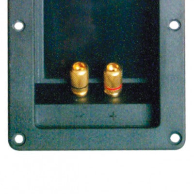 An MX 2 Way Binding Post Speaker Terminal Rectangle Full Metal Contact Gold Plated 138mm x 68mm (MX-1567)