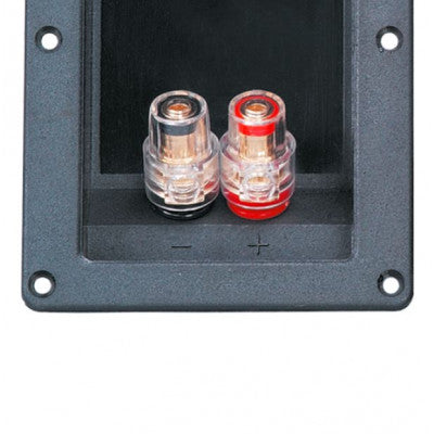 An MX 2 Way Binding Post Speaker Terminal Rectangle Screw Type and Touch Proof Gold Plated 138mm x 68mm (MX-2220)