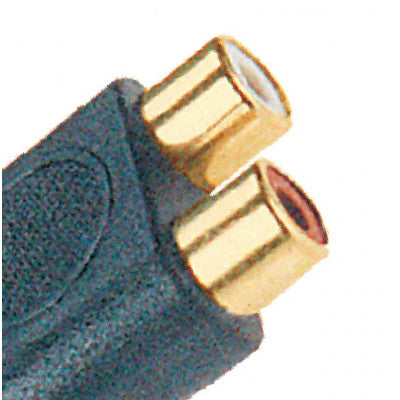 An MX EP Stereo Male 3.5mm Plug To MX 2 RCA Female Socket Connector Gold Plated (MX-629)