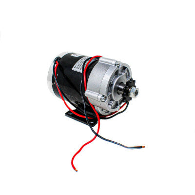 An MY1020Z 450W 36V Dc Motor