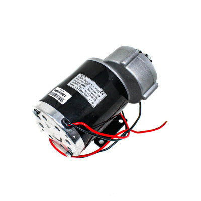 An MY1020Z 450W 36V Dc Motor