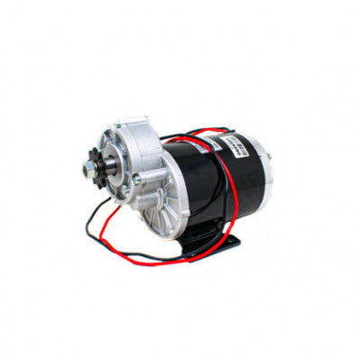 An MY1020Z 450W 36V Dc Motor