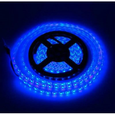 An Non Waterproof 5050 Blue SMD LED Strip - 5 Meter