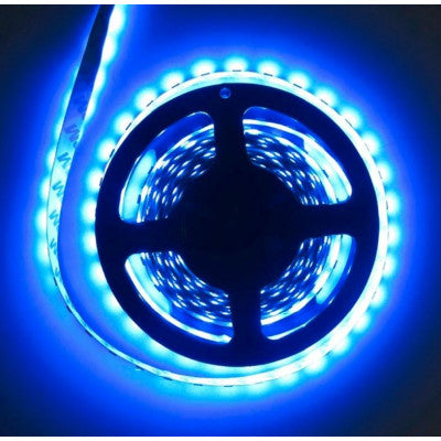 An Non Waterproof 5630 Blue SMD LED Strip - 5 Meter