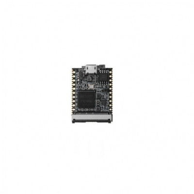 An Sipeed Lichee Nano Linux Development Board 16M Flash Version