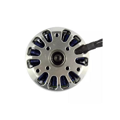An Tarot TL2955 4008MT motor